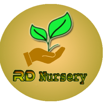 RD Nursery